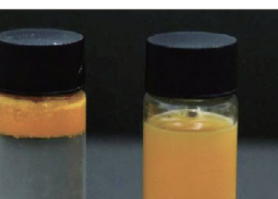 Liposomal Liquid Technology