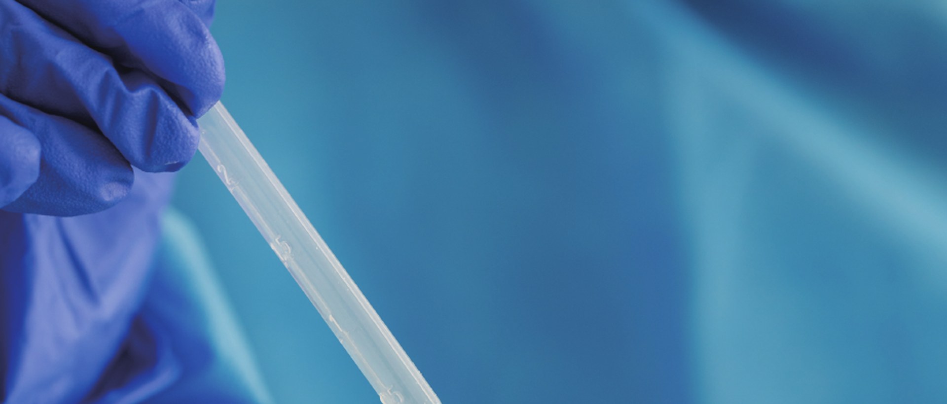 What Does a Supplement Sample-Development Fee Cover?